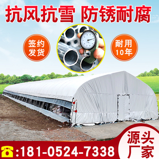 大棚钢管骨架全套椭圆管温室支架种菜农用蔬菜种植连栋养殖鸡拱杆