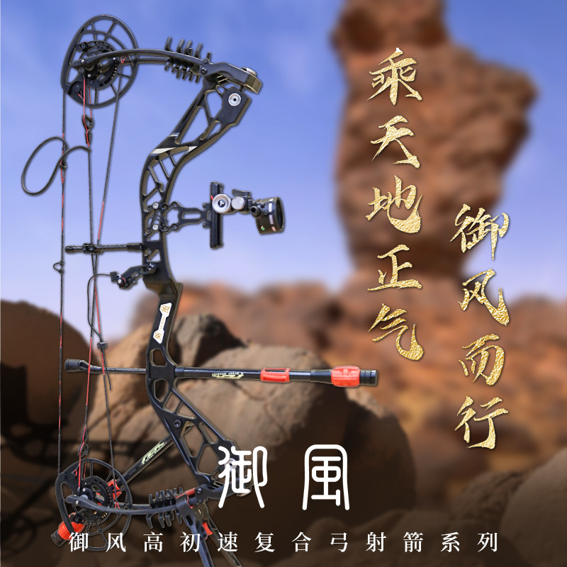 御风复合弓新款射箭滑轮复和弓专业竞技器材户外机械装备专用猎弓_虎窝淘