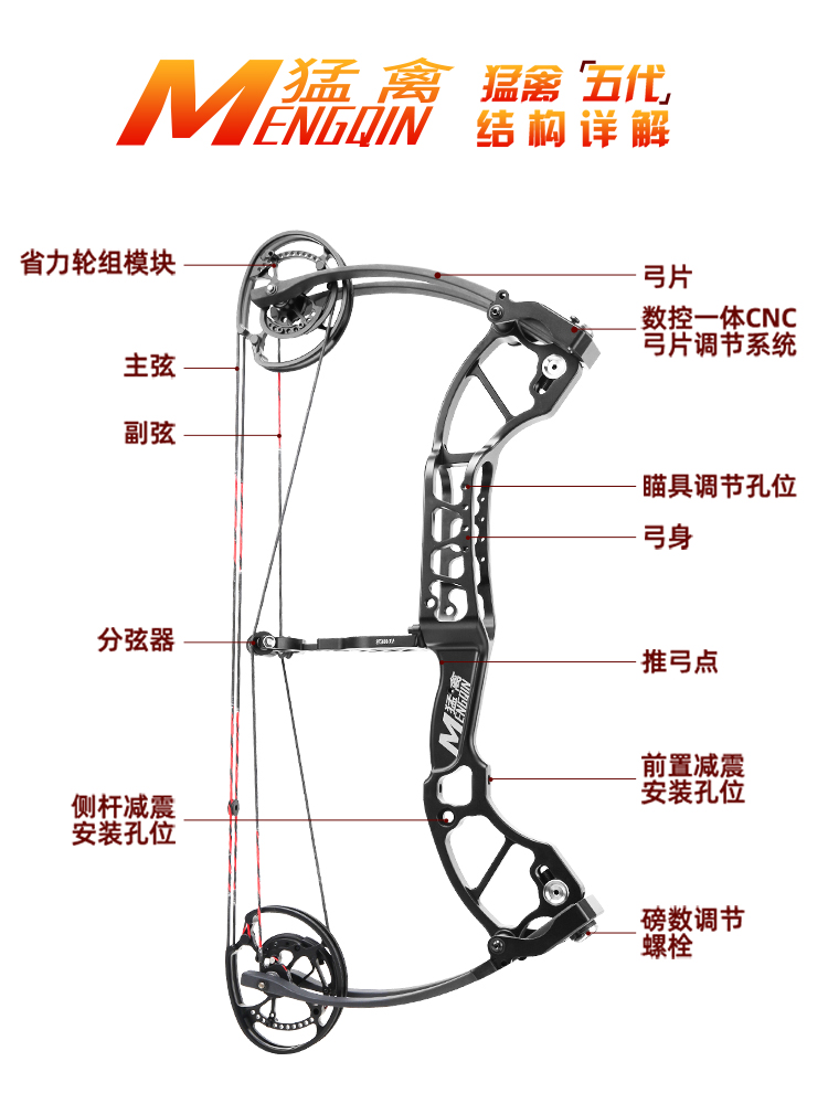 复合弓猛禽五代两用打钢珠射箭高精度户外射击大威力运动滑轮弓