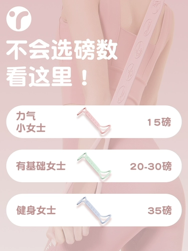 8 -Шарктер Lauli самка