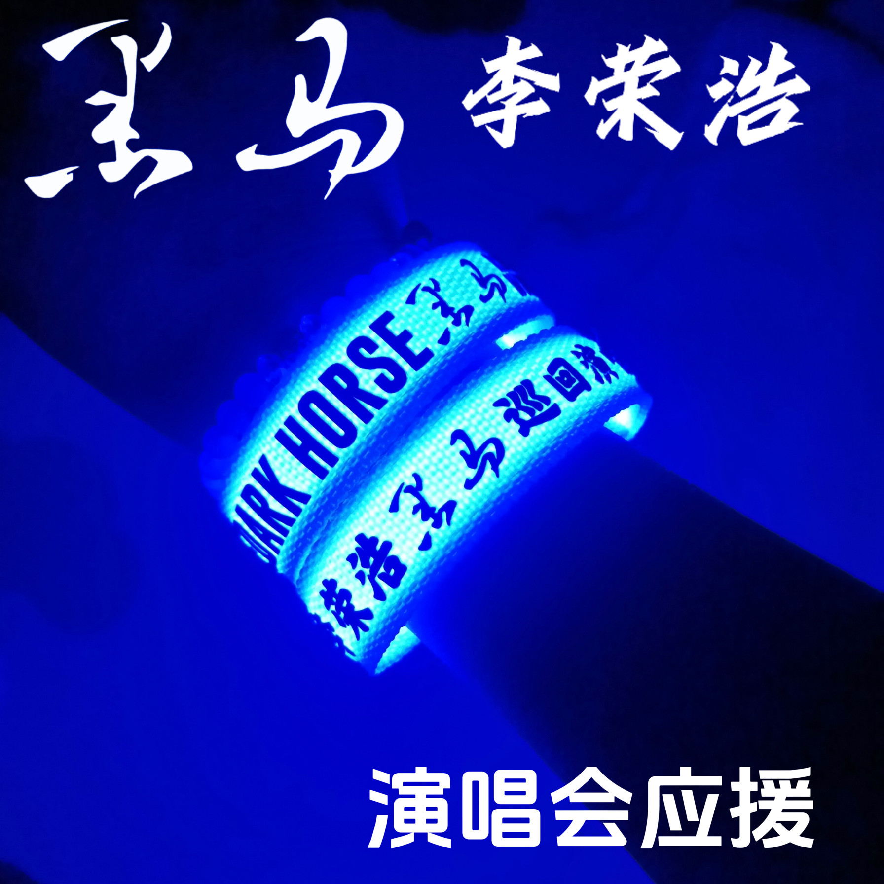 2025李荣浩黑马演唱会应援发光手环定制周边粉丝助威道具荧光棒图片