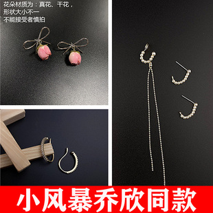 小风暴乔欣同款耳环女 925银针林沃明星同款2020新款耳夹耳饰