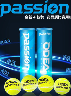 Odear欧帝尔网球耐打手感好AIR四粒胶罐专业比赛训练用球Passion
