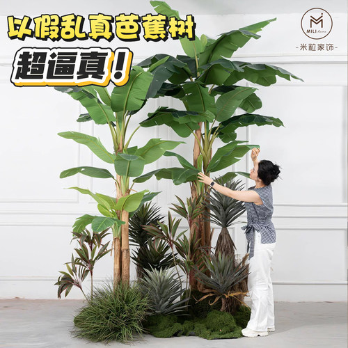 大型仿真芭蕉树热带植物软装造景