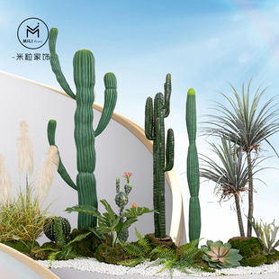 饰 仿真仙人掌仙人柱绿植盆栽量天尺仙人球沙漠植物造景展厅民宿装