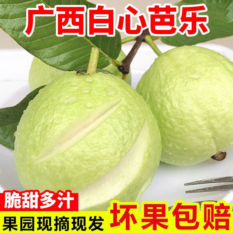 广西奶油白心芭乐软心软糯新鲜孕妇水果番石榴硬脆甜鸡屎果批发价