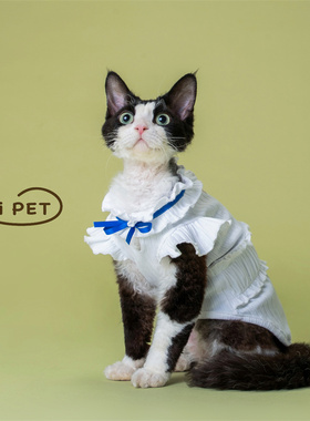 HOiii PET 夏季小飞袖花边丝带背心德文猫衣服纯棉无毛猫打底衫韩