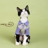 HOiii 条纹polo德文猫衣服弹力无毛猫保暖T恤薄绒卫衣 PET原创韩版