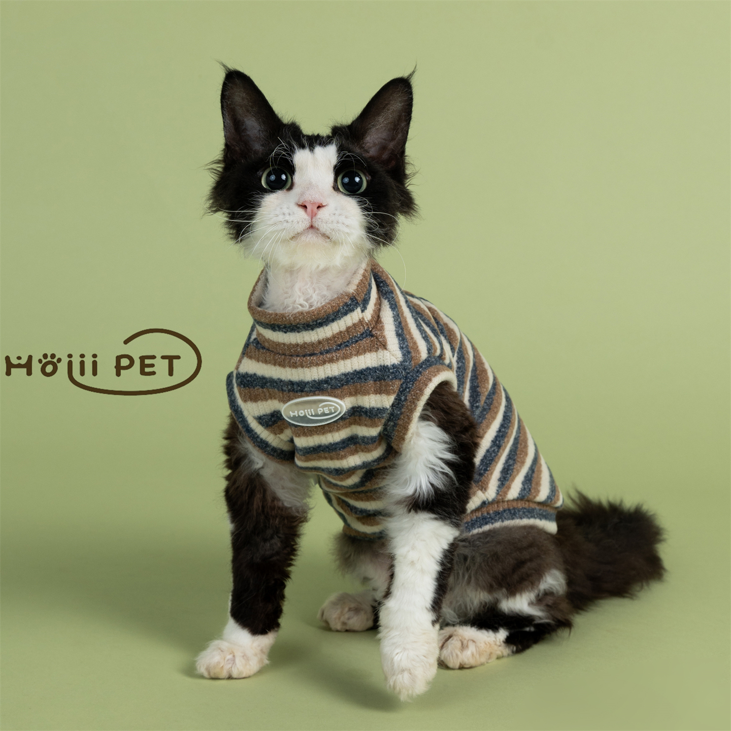 HOiiiPET条纹毛衣德文猫衣服