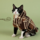 HOiii 加厚英伦羊羔毛格子外套德文猫衣服无毛猫保暖棉服 PET冬季