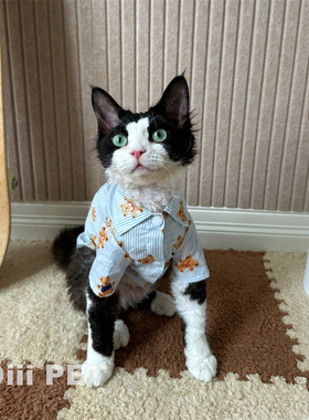 HOiii PET 夏季条纹小熊衬衫睡衣德文衣服无毛猫衣服透气纯棉好穿