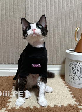 HOiii PET 秋冬德绒打底衫高领卫衣德文猫衣服无毛猫加厚保暖弹力