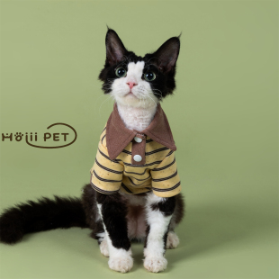 德文猫衣服无毛猫卫衣条纹可爱好穿秋冬 校园polo衫 HOiii PET美式