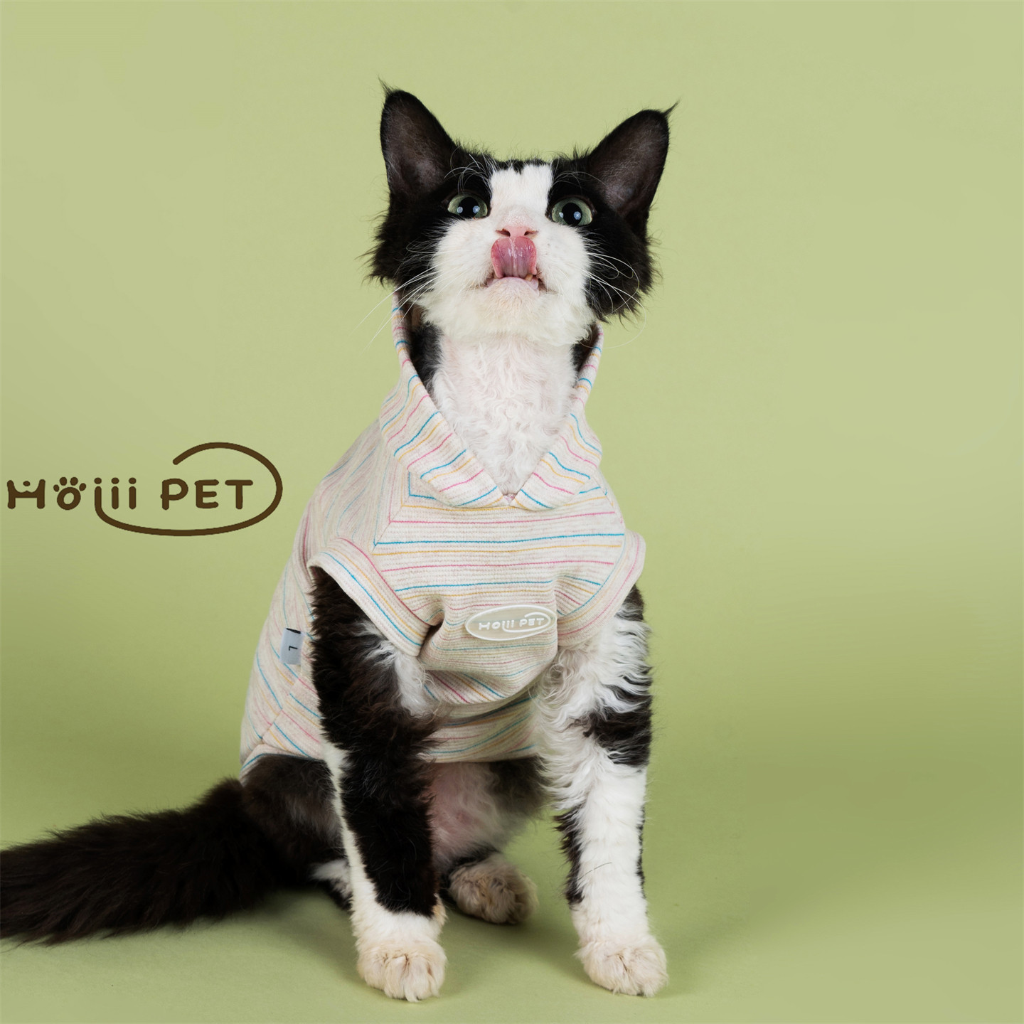 HOiii PET韩版蓝粉条纹帽衫德文猫衣服加厚五无毛猫卫衣可爱好穿,宠物/宠物食品及用品,猫宠物服装/雨衣（新）,淘宝优惠券,粉丝福利购,淘宝优惠卷