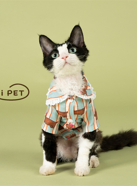 HOiii PET 花边条纹小狗衬衫德文猫衣服纯棉无毛猫睡衣家居服可爱
