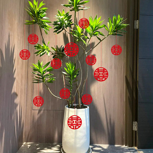 结婚挂饰灯笼婚庆盆栽植物装饰挂件婚房布置绿植盆景喜字挂树上