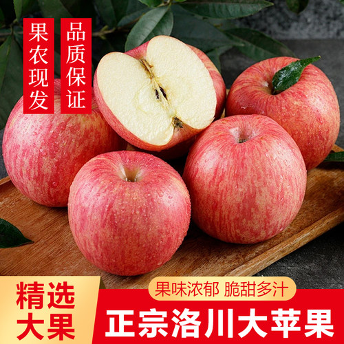 陕西红富士苹果应季孕妇水果