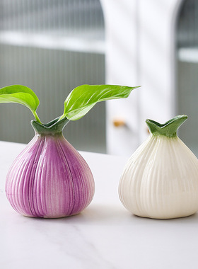 洋葱陶瓷小花瓶摆件客厅插花水培鲜花绿萝绿植桌面装饰轻奢高级感
