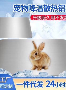 宠物兔子仓鼠散热板垫降温铝板荷兰猪冰垫龙猫夏天降温神器批发