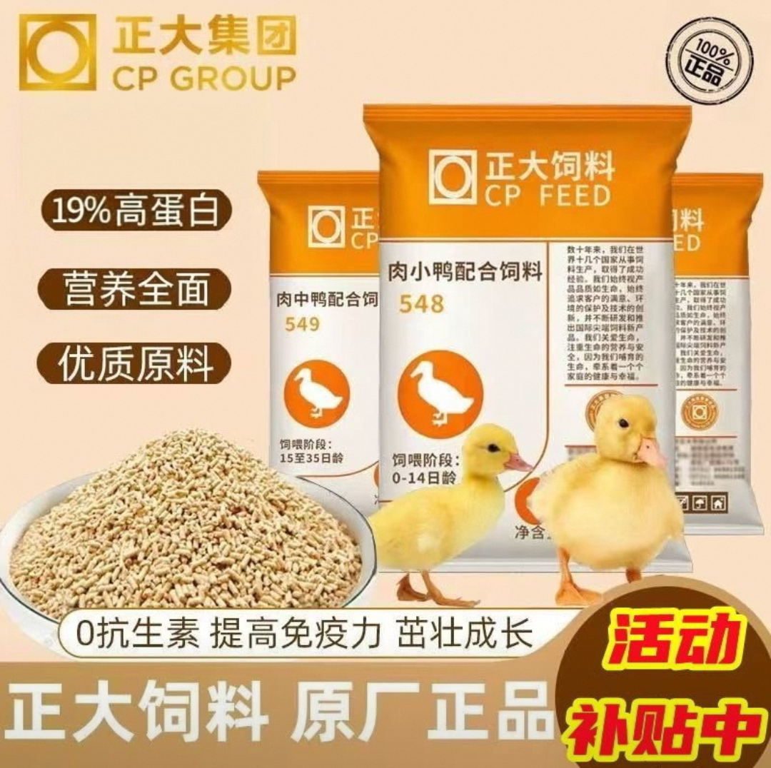 正大小鸭饲料颗粒中大产蛋鸭饲料