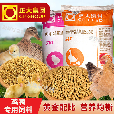 正大小鸭饲料颗粒中大产蛋鸭饲料