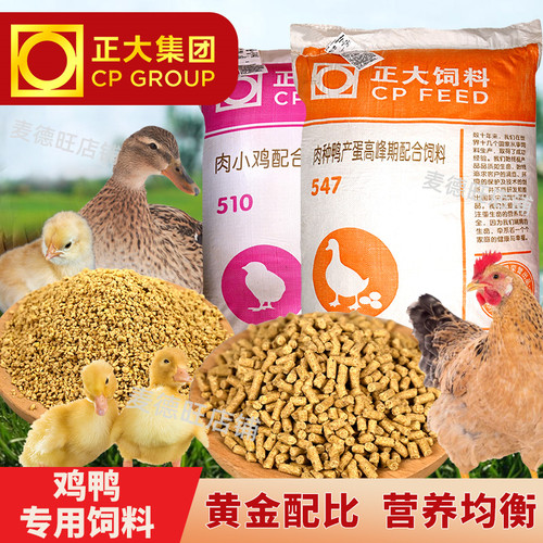 正大小鸭饲料颗粒中大产蛋鸭饲料