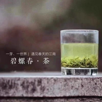 正宗苏州洞庭东山碧螺春茶2024新茶明前旗枪50g绿茶叶 品尝装