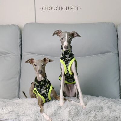Italian Greyhound Whippet Summer Colorblock Vest Breathable