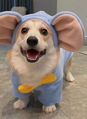 Corgi Clothes Autumn Winter Dumbo Thickened Warmth Bichon Sc