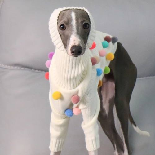 High-neck Knitted Christmas Sweater for Italian Greyhound Wi