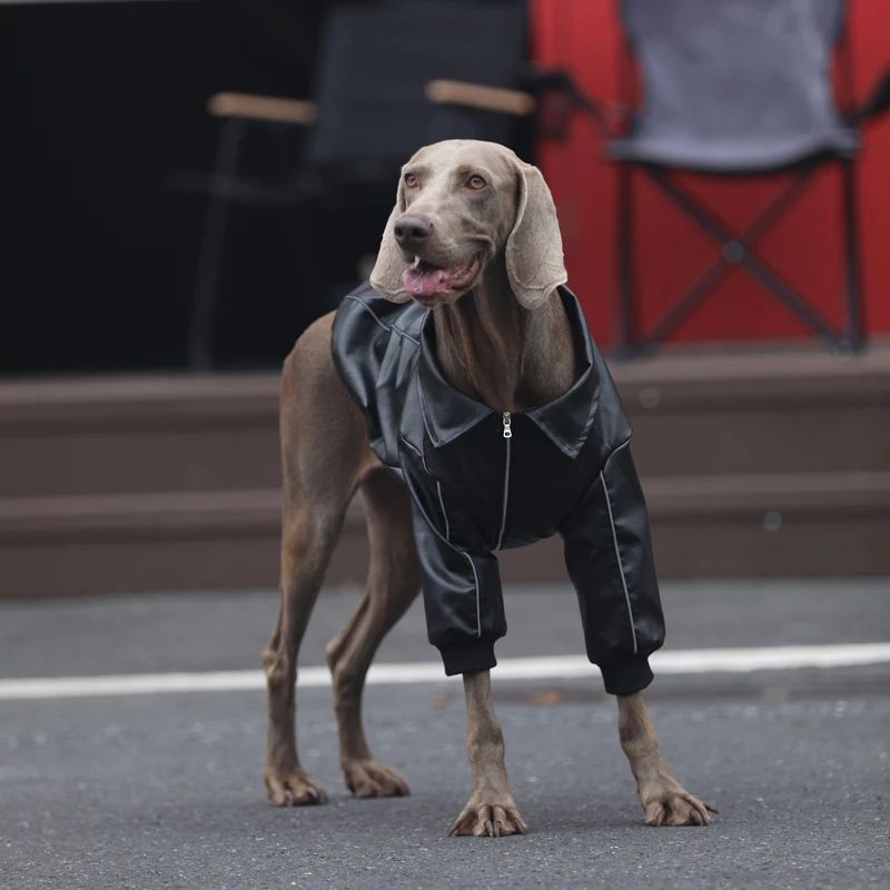 Zip-up PU leather Jacket for Large Dogs,Stylish Punk Pet Coa