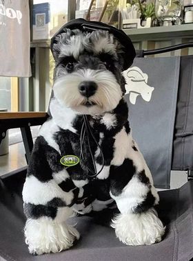 Dog clothes autumn and winter warm schnauzer fah bichon tedd