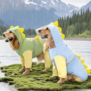 Raincoat Golden Retriever Large Legged Dinosaur Four Wat Dog