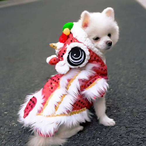 Dog Clothes New Year Pet Chinese Lion Dance Costume Coat Win