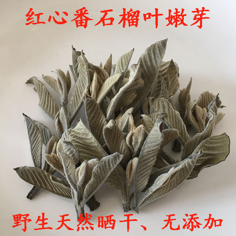野生红心番石榴叶嫩芽特级芽尖嫩叶芭乐叶芽番桃叶子泡水番石榴茶