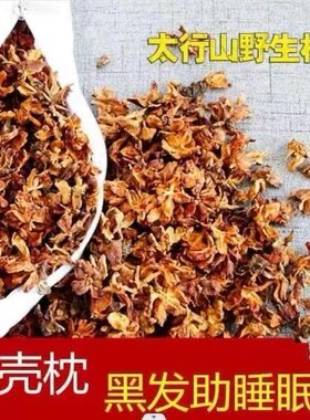 柏壳子野生柏树壳侧柏壳