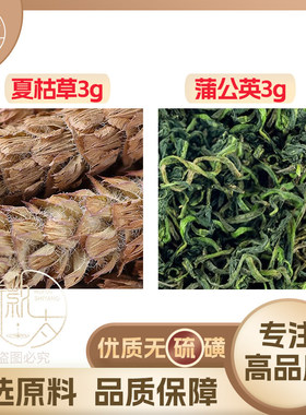 蒲公英和夏枯草组合加配与夏菇草茶夏楛草夏姑草葡浦公英独立小包