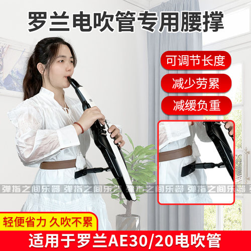 罗兰电吹管腰托AE20AE30嵌入电池