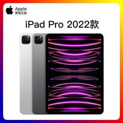 Apple/苹果 11 英寸 iPad Pro (第三代)21 22款4代平板电脑12.9寸