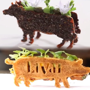 动物牛造型脆片创意分子料理装饰动物猪羊公鸡硅胶蕾丝模具位上
