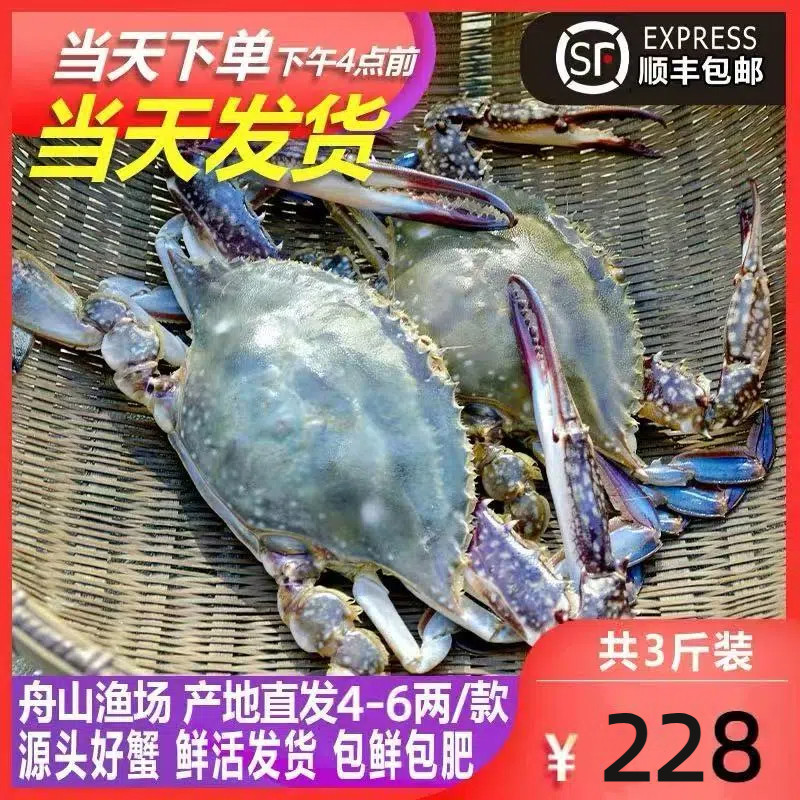 【保鲜不保活】网潮舟山月岙梭子蟹新鲜大公蟹秋白蟹4两上3斤包邮