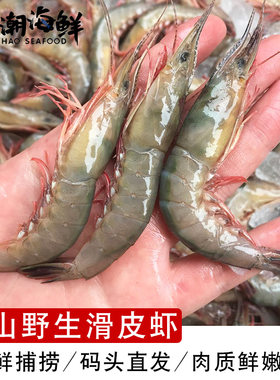 舟山内港野生滑皮虾 剑虾条虾 新鲜活皮虾1斤42只左右 冻发