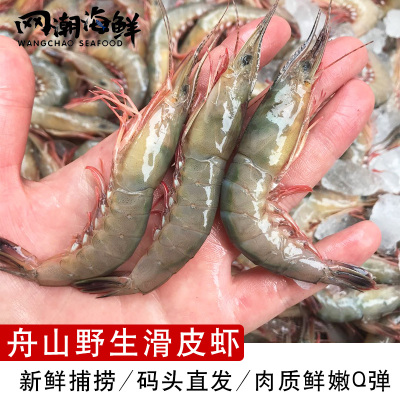 舟山内港野生滑皮虾剑虾条虾新鲜活皮虾1斤45只左右 9月新货冻发