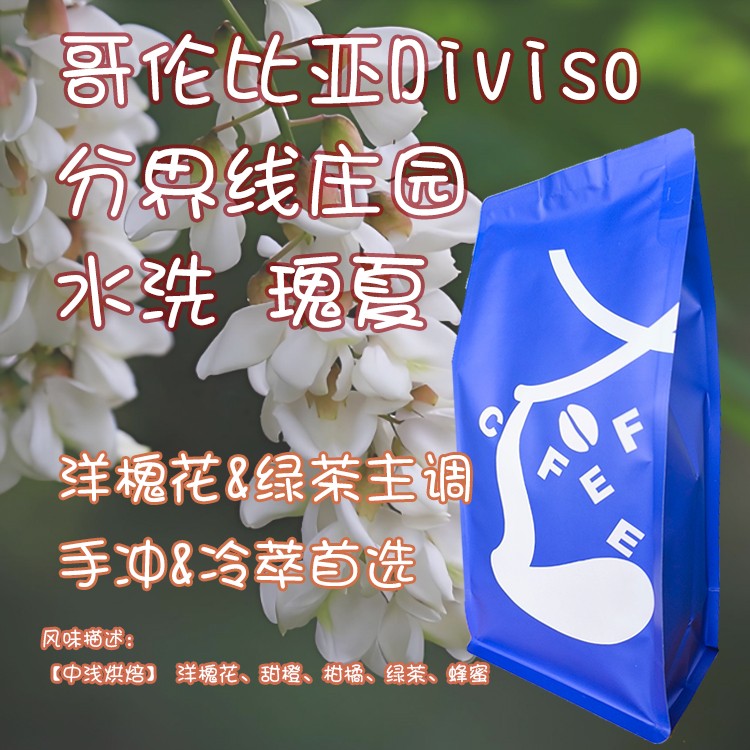 【Leo's Coffee】哥伦比亚分界线庄园水洗瑰夏Diviso精品咖啡豆