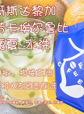 【Leo's Coffee】哥斯达黎加 芬卡埃尔鲁比水洗 瑰夏 精品咖啡豆