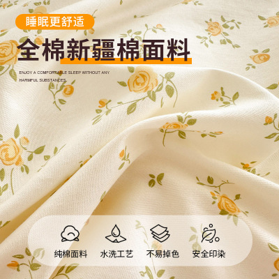 网红全棉枕头套一对装纯棉枕套48x74cm单个家用整套枕芯内胆套女