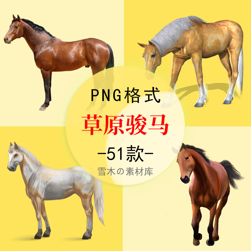 71草原奔跑的骏马野马动物宣传广告海报设计PNG免扣透明背景素材
