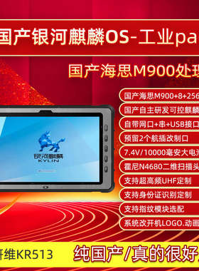 国产处理器银河麒麟系统海思M900