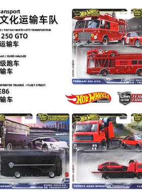 Hotwheels风火轮合金车模法拉利250GTO运输车队AE86玩具汽车模型