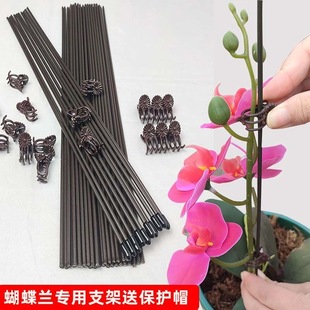 蝴蝶兰支架夹子专用固定花卉支撑杆保护植物花剑造型枝器包塑花架